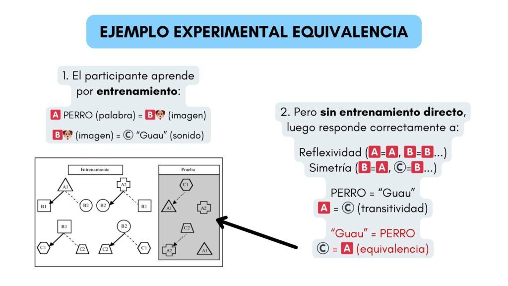 Curso Introducción Psicología Deporte Análisis Conductual Pezzini Conducteam